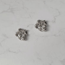 Load image into Gallery viewer, Vintage Fragment Earrings - Silver